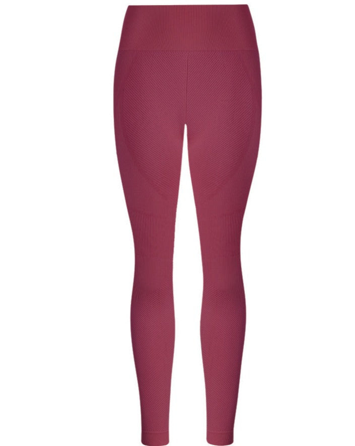 NEW! Lupo Sport Essential Seamless Leggings